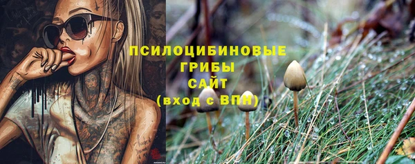 таблы Алзамай