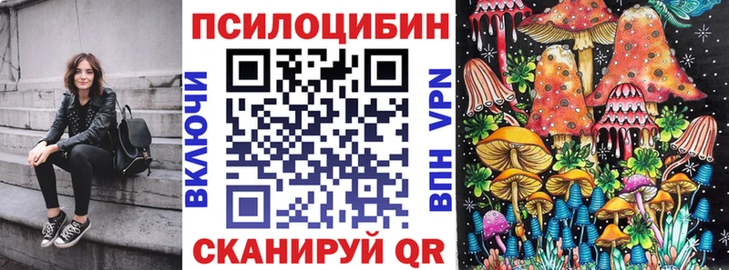 где продают   Приморск  hydra ссылка  Псилоцибиновые грибы Psilocybine cubensis 
